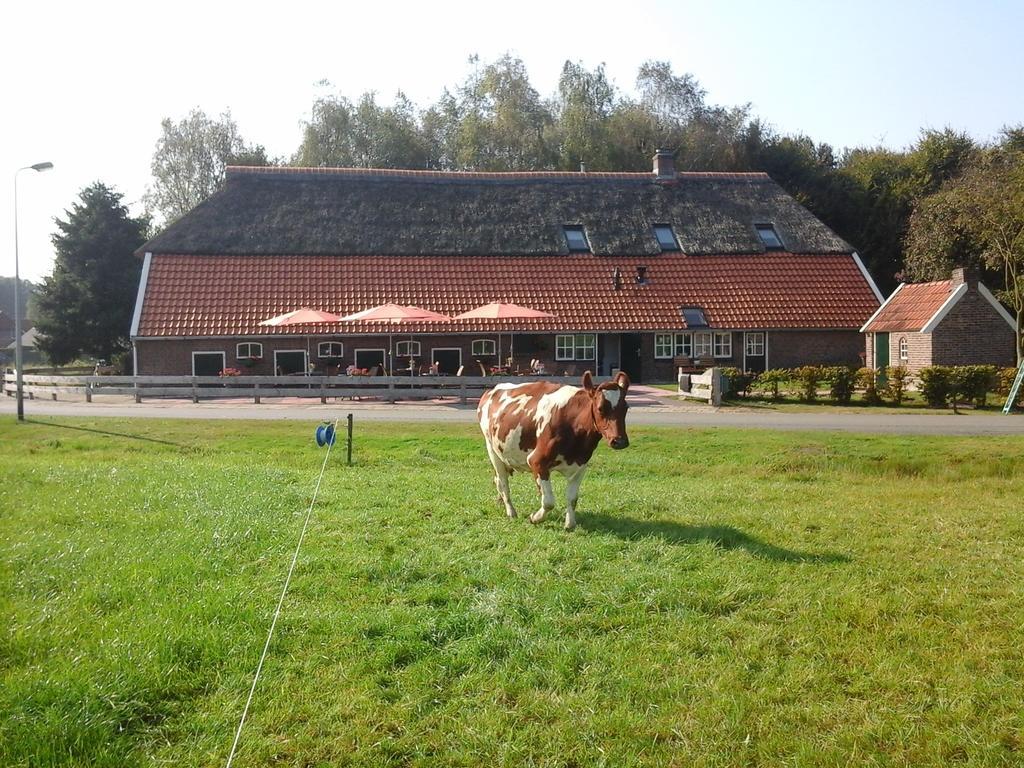 B&B De Luttikhoeve Giethmen エクステリア 写真